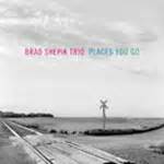 Brad Shepik: Places You Go album review 